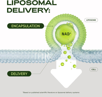 Liposomal NAD Supplement with Resveratrol