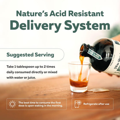 Flora Biome Complete Gut Health Probiotic Blend